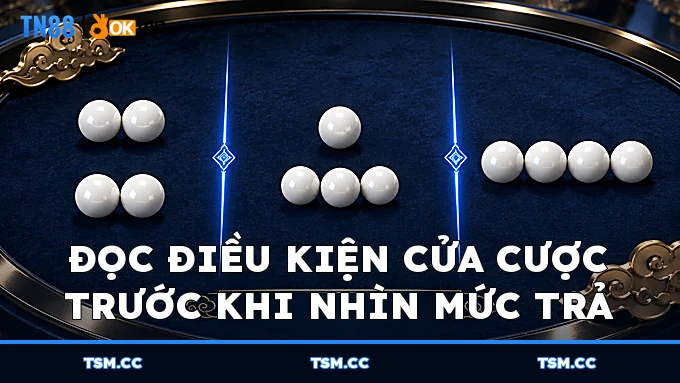 Điều kiện các nhóm cửa cược FanTan